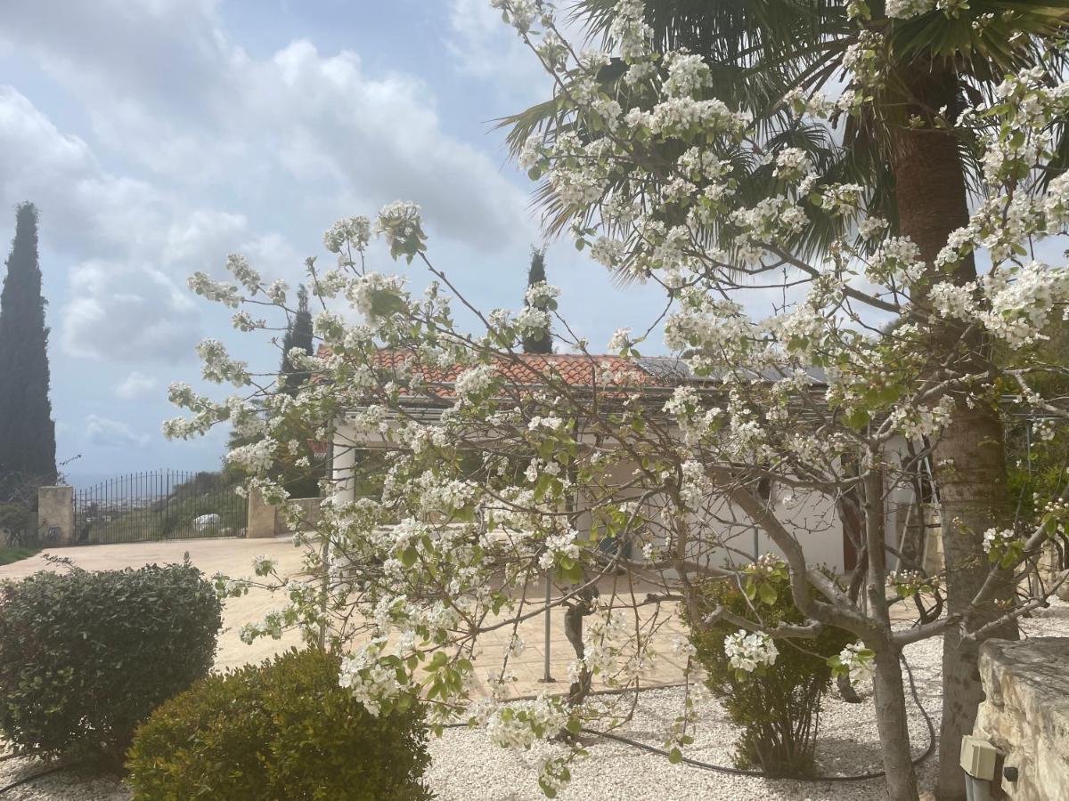 Beautiful Home Paphos ภายนอก รูปภาพ