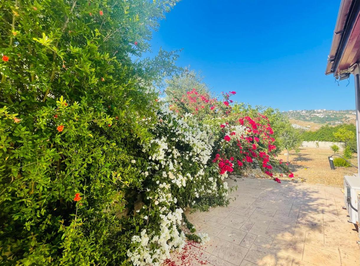 Beautiful Home Paphos ภายนอก รูปภาพ